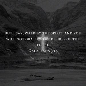 Meet your Posher, Kng